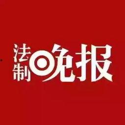 增城新闻爆料热线,倾听民声，守护城市和谐  第3张
